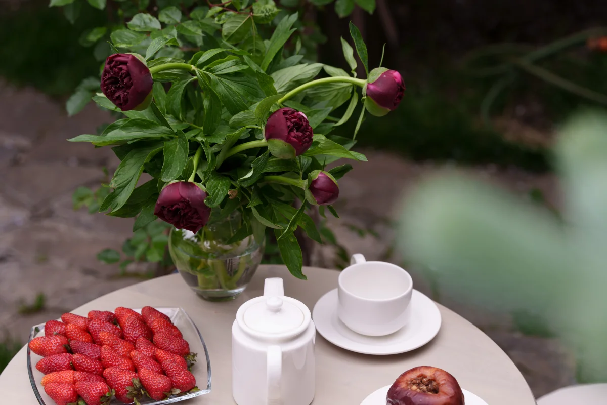 Красота и здоровье в Армении: страна, где тело и душа находят гармонию