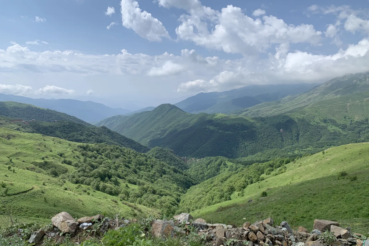 Сюникская область