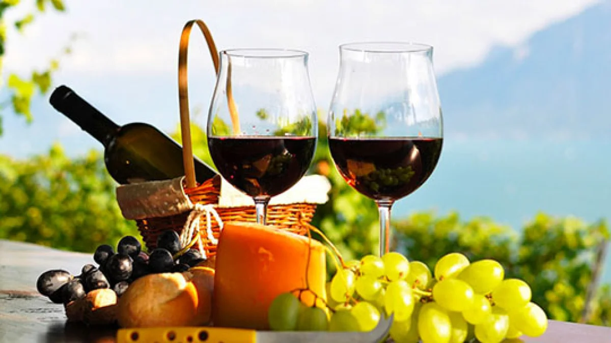 Гастро-винный тур по Армении