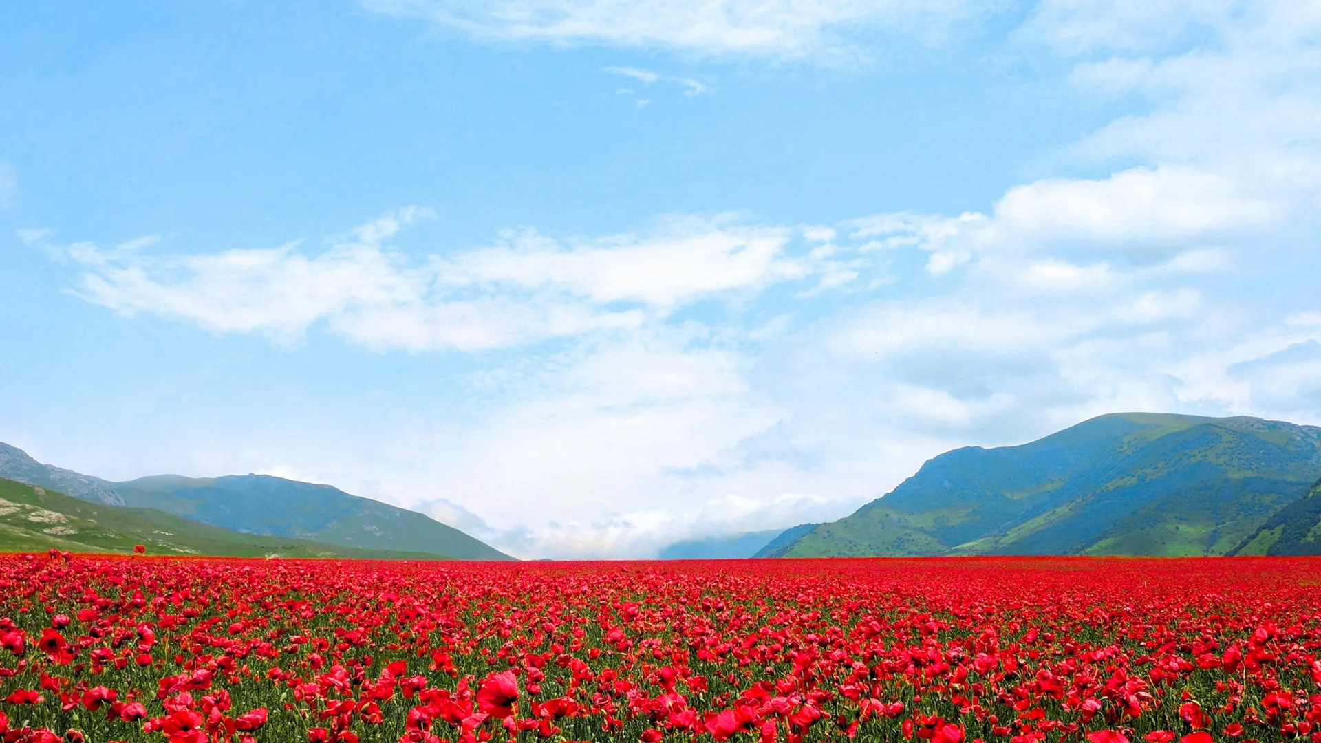 Музей под открытым небом