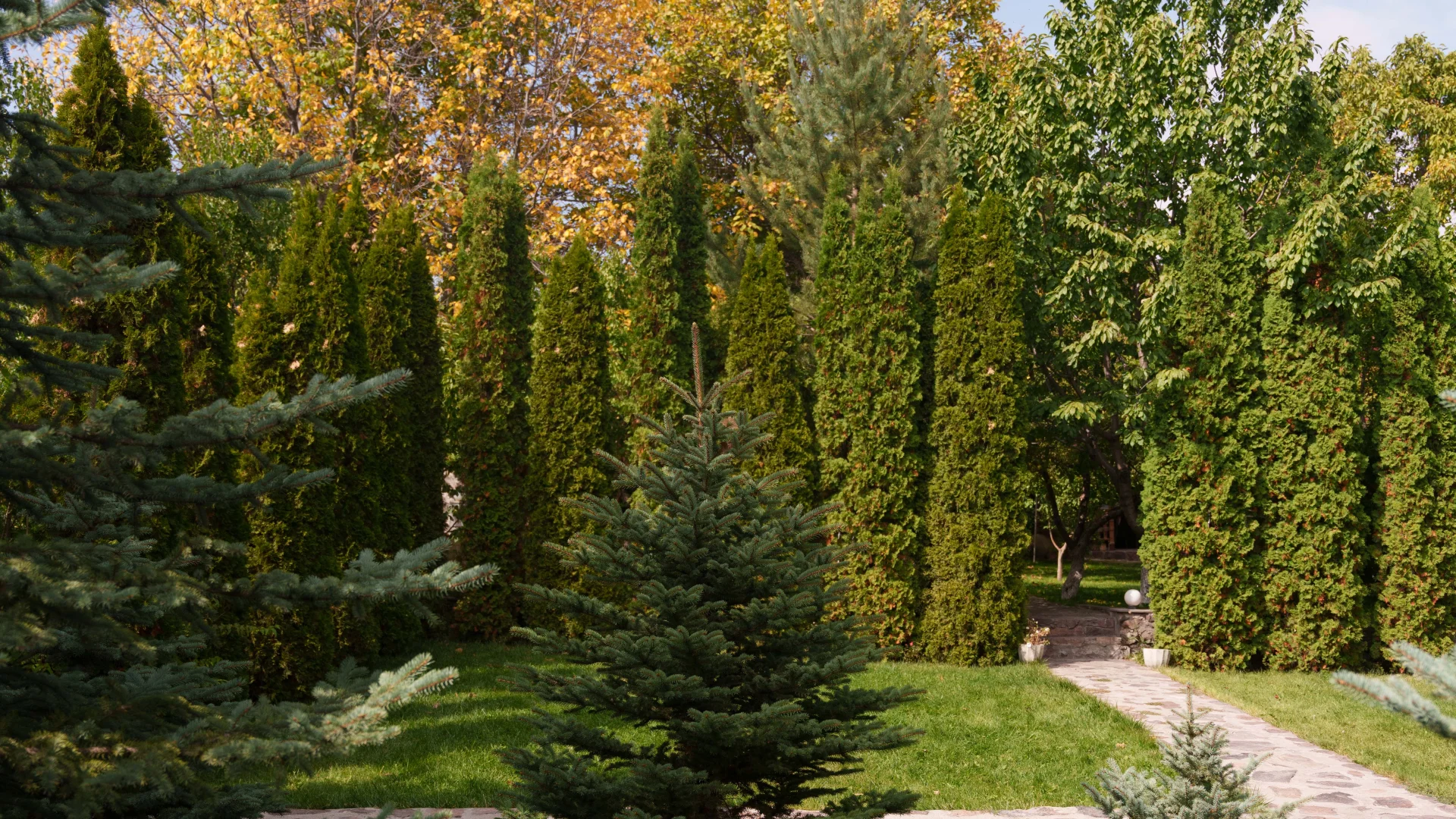 «Здоровая Армения» детокс-курс и путешествие по главным достопримечательностям Армении